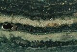 Orbicular Ocean Jasper Slab - Madagascar #129851-1